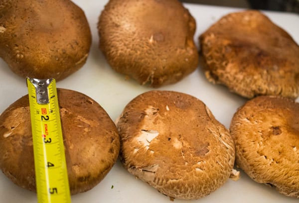 measured-mushrooms