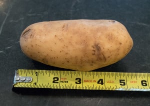 five-inch-potato