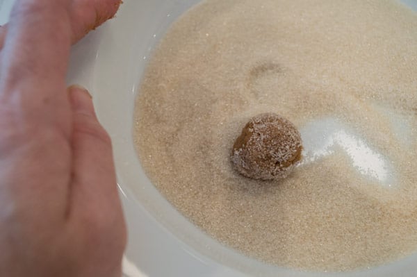 roll-dough-intoorganic-cane-sugar
